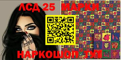 стафф Краснознаменск