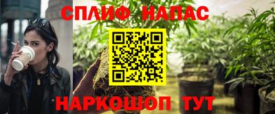 стафф Краснознаменск