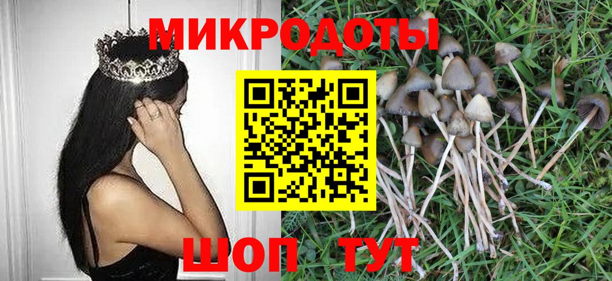 Псилоцибиновые грибы прущие грибы Звенигород