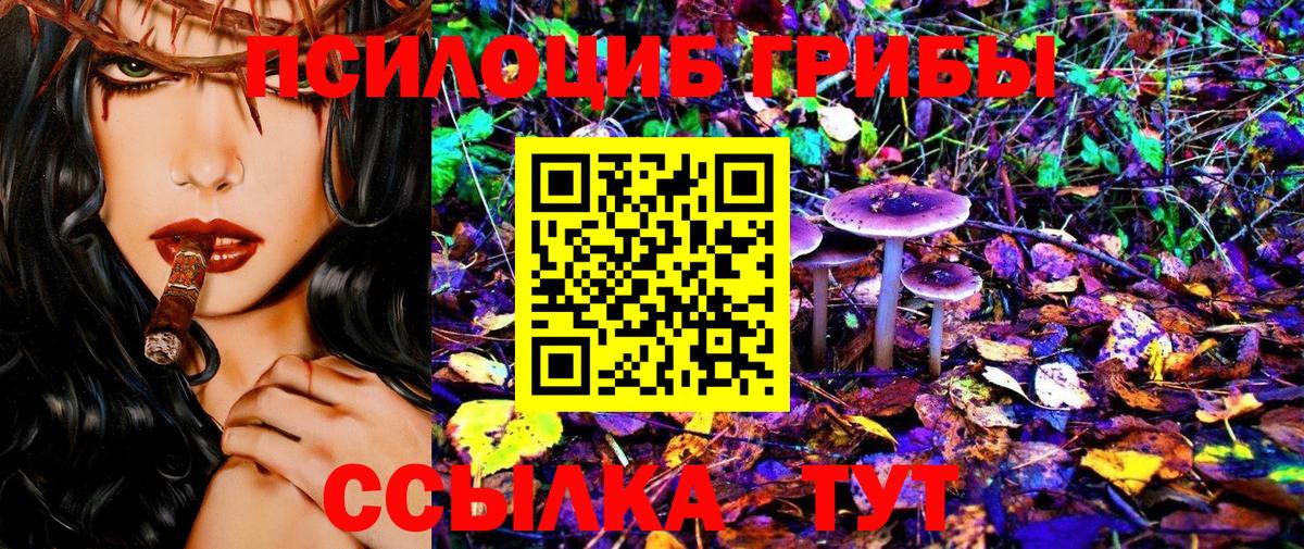 Галлюциногенные грибы MAGIC MUSHROOMS  Вход с VPN  Звенигород  Галлюциногенные грибы Psilocybe 